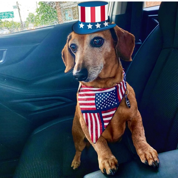 💎MEET THE POSHER💎 Bestdressed995 - Picture 5 of 16